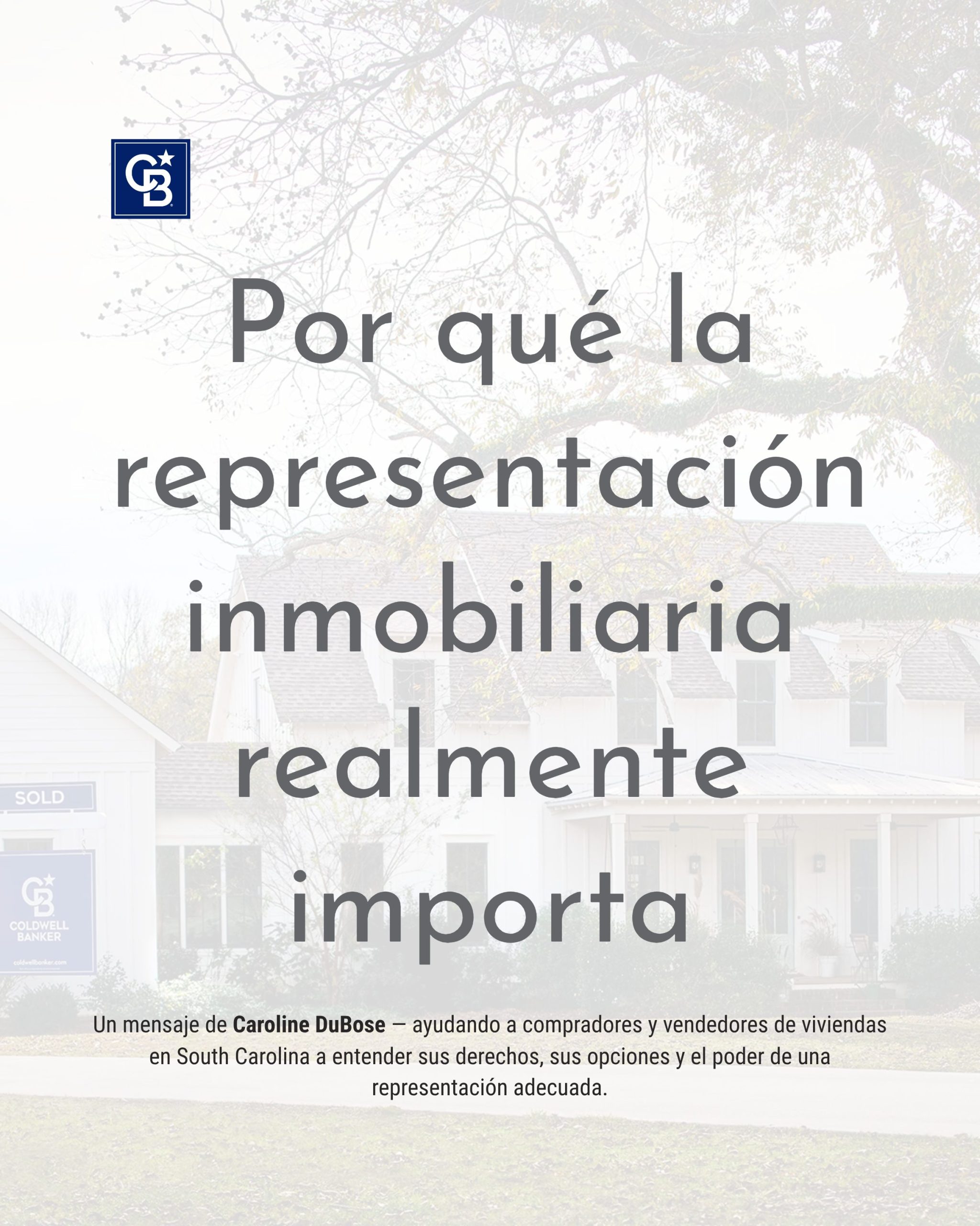 1_Por-que-la-representacion-inmobiliaria-realmente-importa