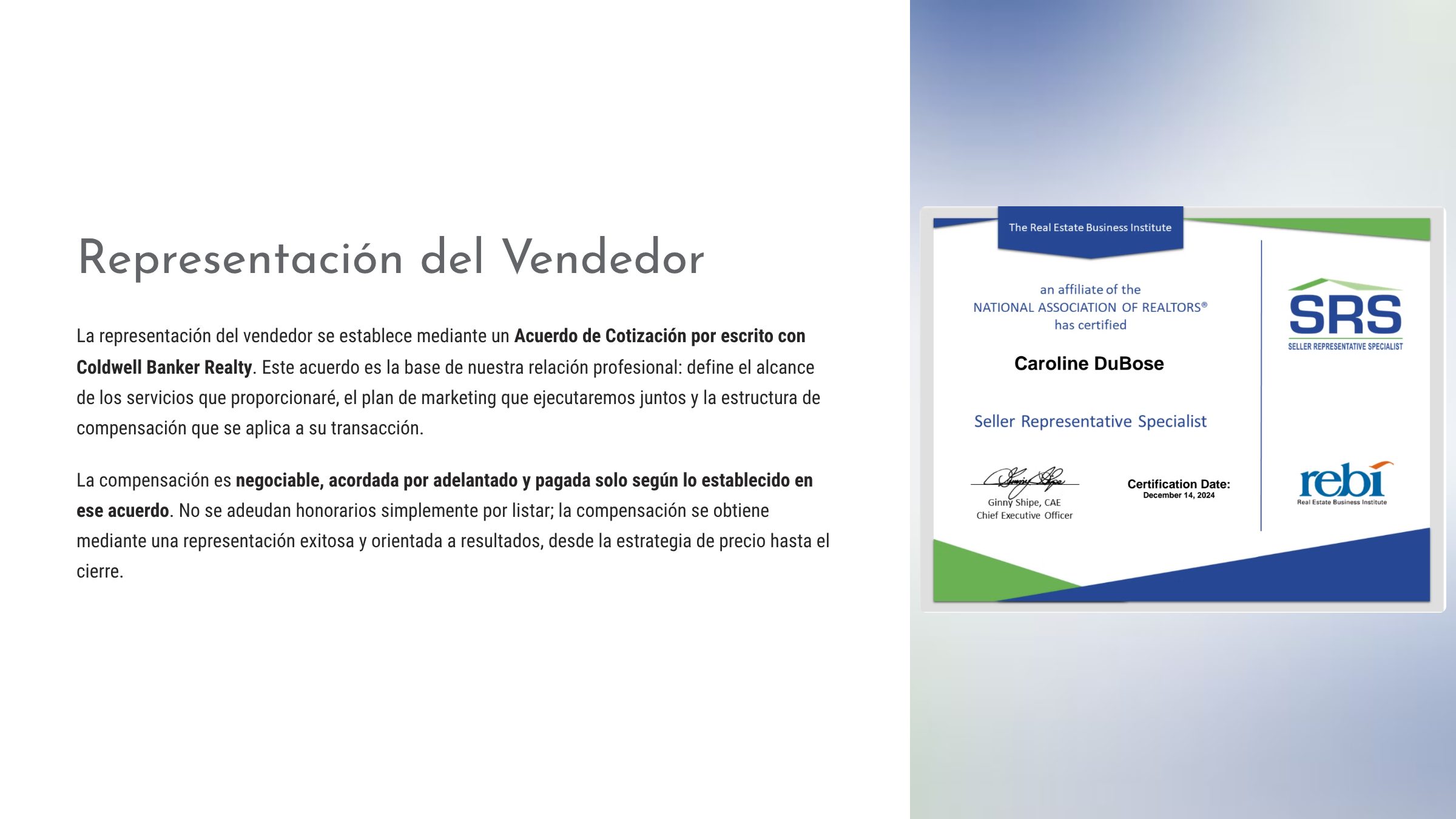 3_Representacion-del-Vendedor