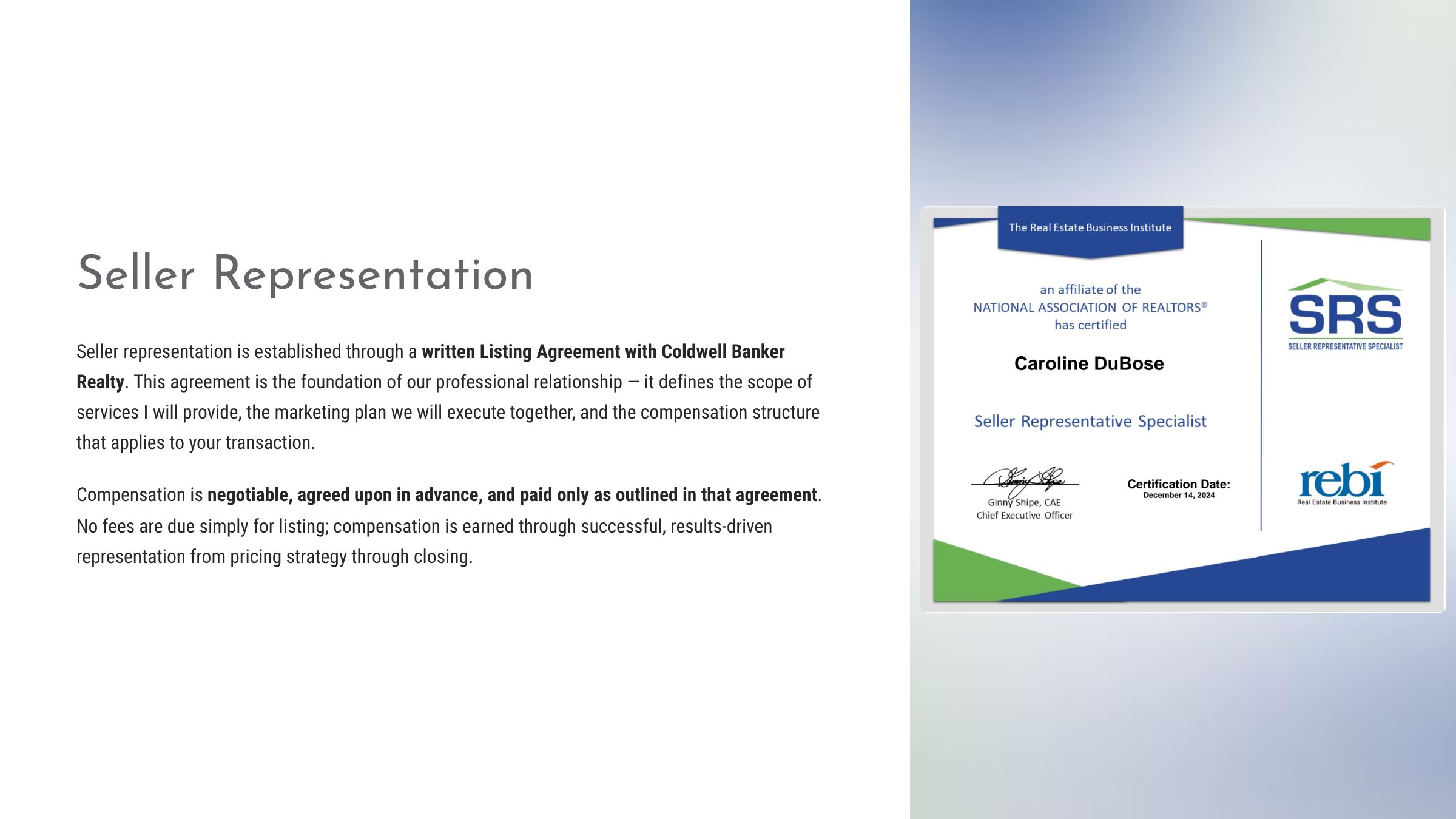 3_Seller-Representation
